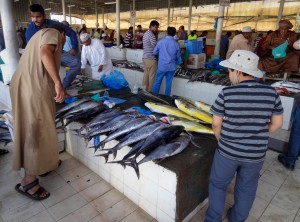 Visiting the fish market