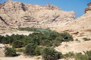 Lush wadi nestled in the mountains