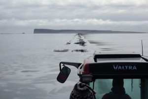 Driving out to the Ingolfshofdi cape