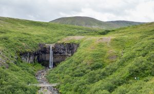 The Svartifoss waterfall with its basalt cliffs