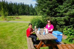 Picnicking in Hveragerdi